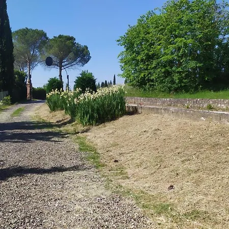 Dago * Siena