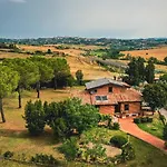 B&B Dago