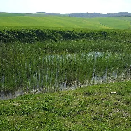 Dago Bed & Breakfast