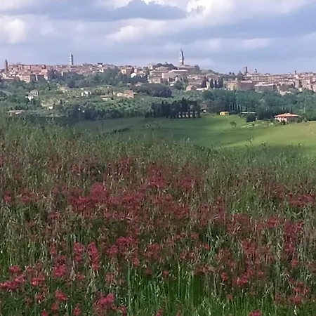 Dago Bed & Breakfast 4*