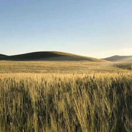 Dago Bed & Breakfast 4*