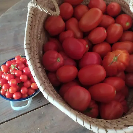 Dago Bed & Breakfast