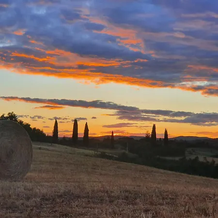 Dago * Siena