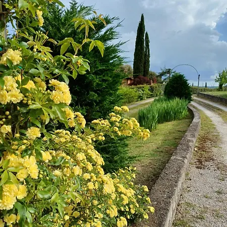 Bed & Breakfast Dago Siena