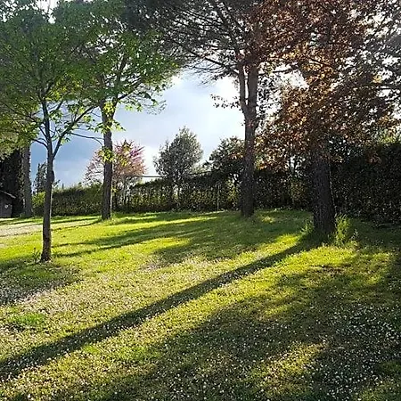 Dago 4* Siena