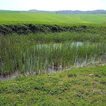 Oda ve Kahvaltı Dago Siena