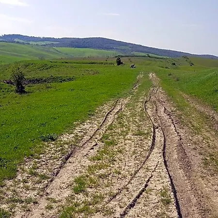 Dago Oda ve Kahvaltı Siena