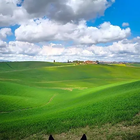 Dago Siena