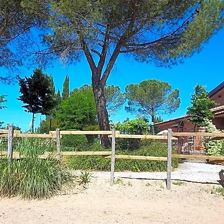 Dago Oda ve Kahvaltı