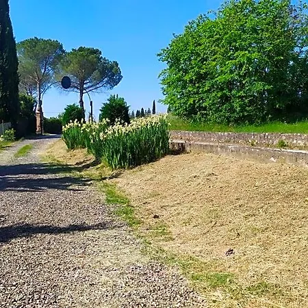 Dago 4* Siena