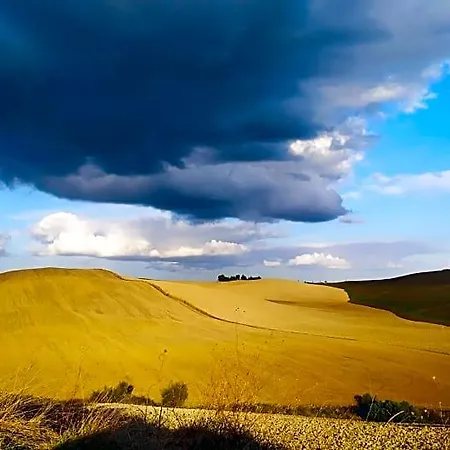 Dago 4* Siena
