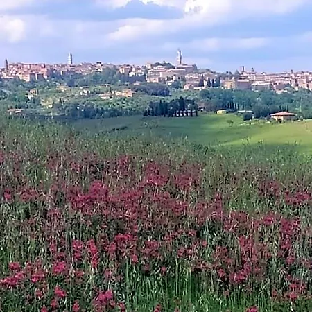 Dago Oda ve Kahvaltı Siena