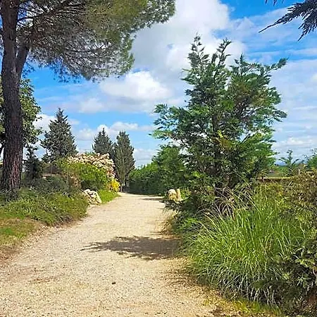 Dago Siena