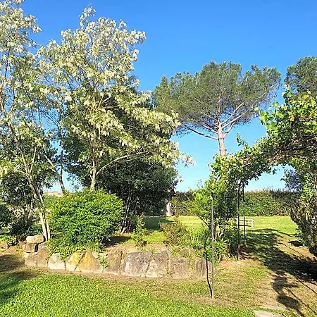 Dago 4* Siena
