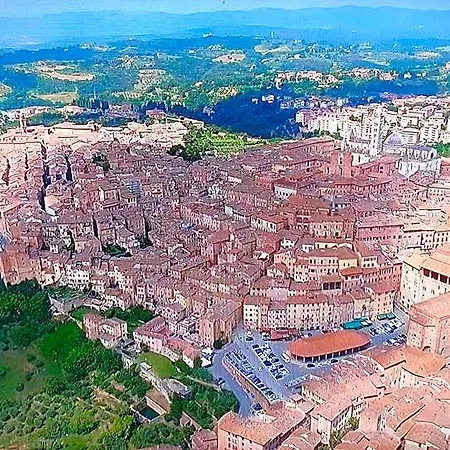 Oda ve Kahvaltı Dago 4*