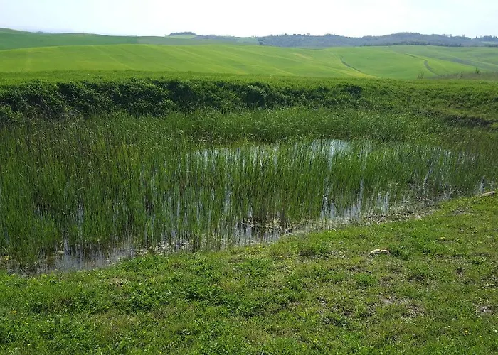 Dago Отель типа 