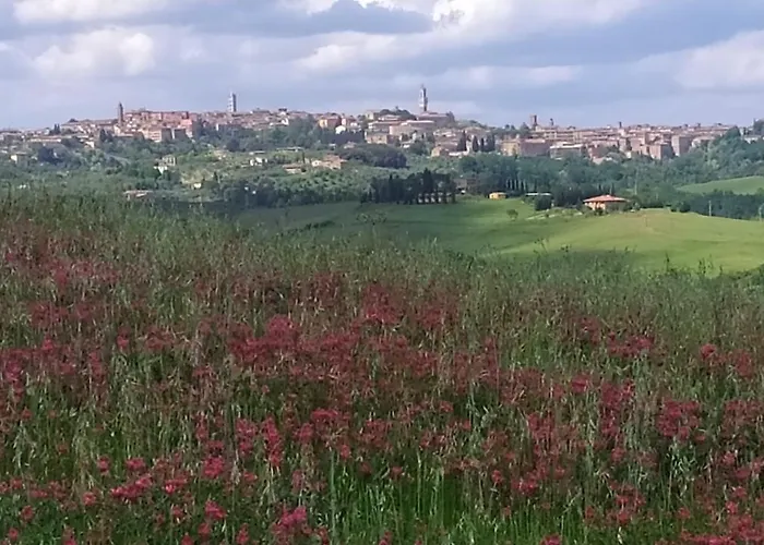 Dago Отель типа 