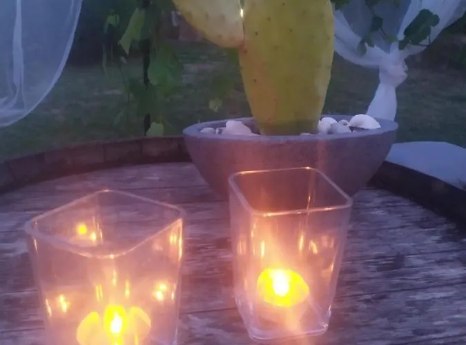 Dago Отель типа 