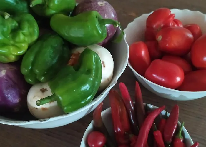 Dago 住宿加早餐酒店 4*