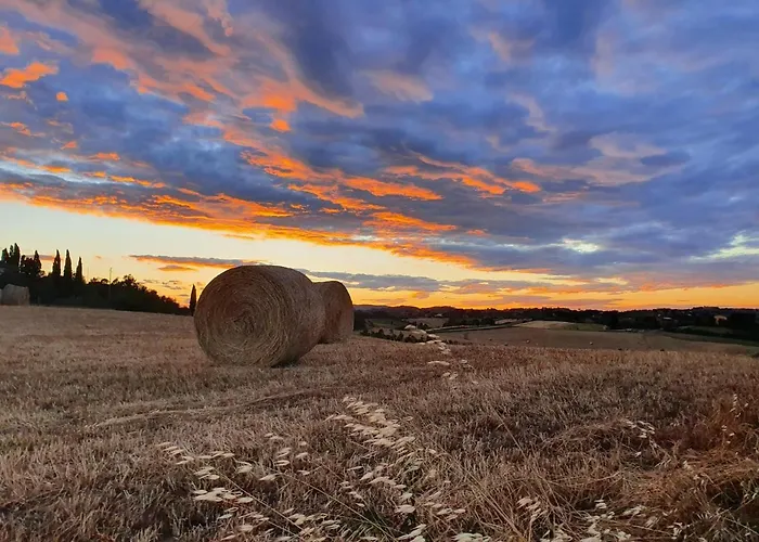 住宿加早餐酒店 Dago 锡耶纳