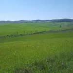 לינה וארוחת בוקר Dago 4*