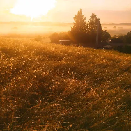 Bed & Breakfast Dago