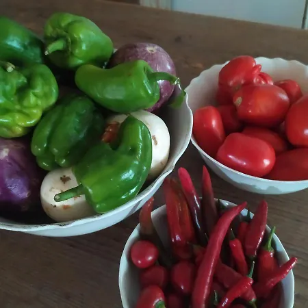 Dago Bed & Breakfast 4*