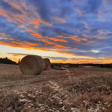 Bed & Breakfast Dago Siena