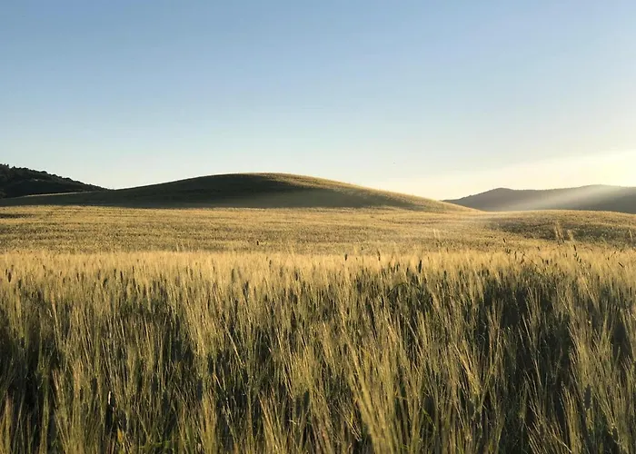 Dago Bed & Breakfast 4*