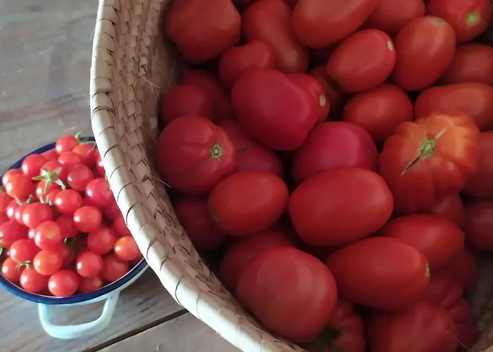 Dago Bed & Breakfast