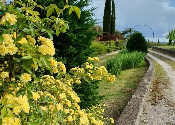 Bed & Breakfast Dago Siena