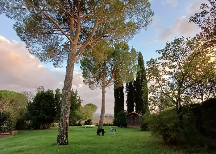 Dago Bed & Breakfast 4*