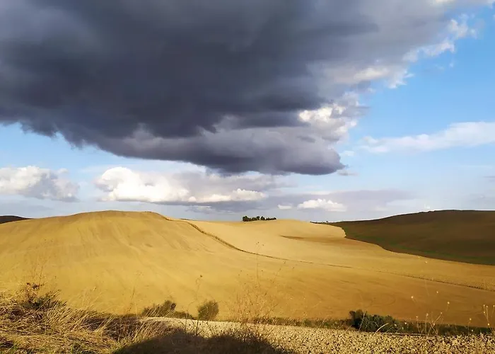 Dago Bed and Breakfast