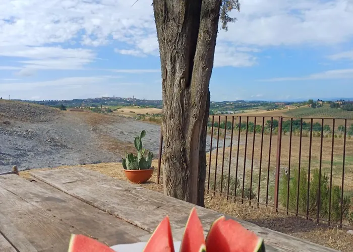 Dago Bed and Breakfast